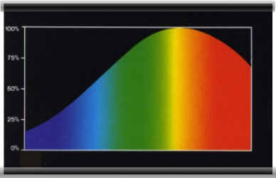 Spektrum einer Glühbirne Spektrum einer Glühbirne